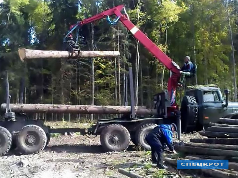 Маз 631828 сортиментовоз с гидроманипулятором вездеход. Лесовоз урал с лесом. Водитель лесовоза с гидроманипулятором. Vfybgekznjh c kjvjdjpjv. Водитель лесовоза с манипулятором.